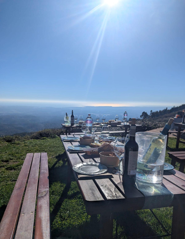 620 pixels placeholder image